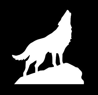 ドライブ（自動車＆自転車＆バイク）に関するWebメディア