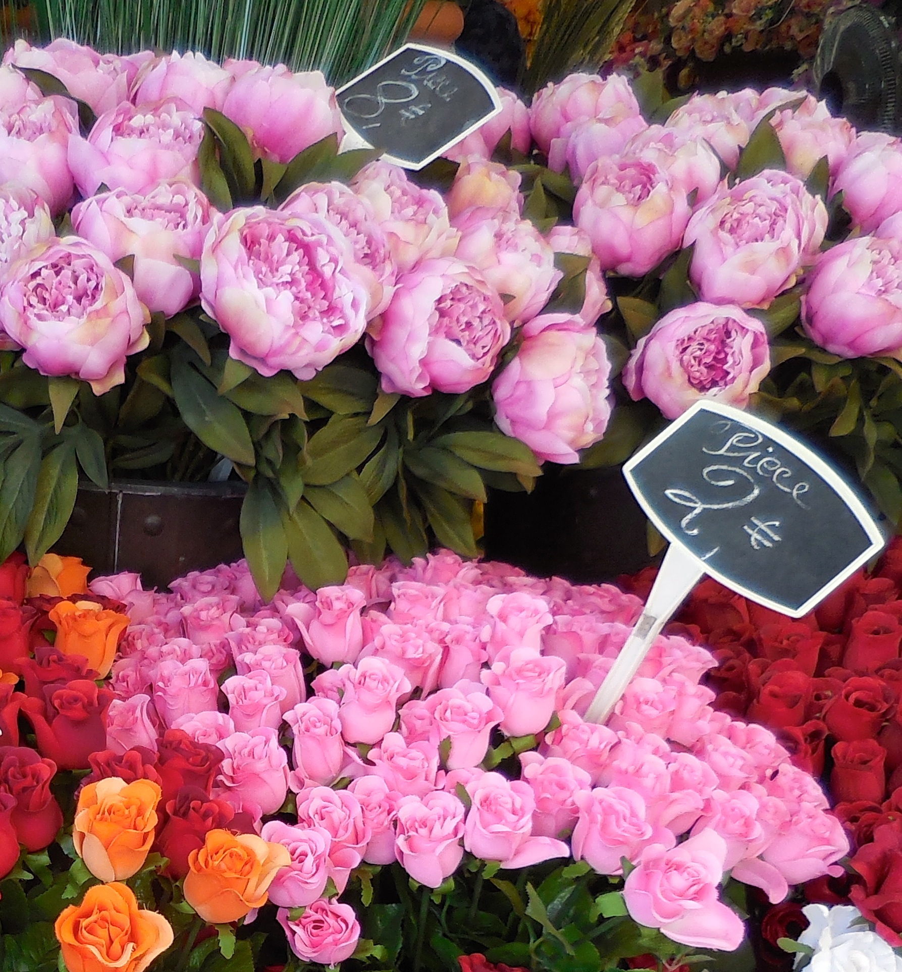 ディズニーで15年バイトの プロフェッショナル 更年期を乗り切るためのブログ