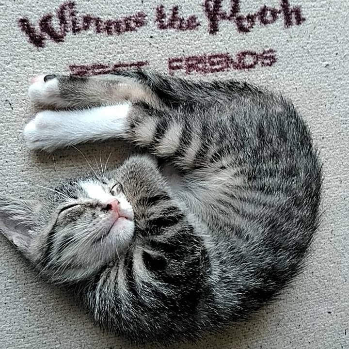 三重県（旅行＆地域）に関するWebメディア