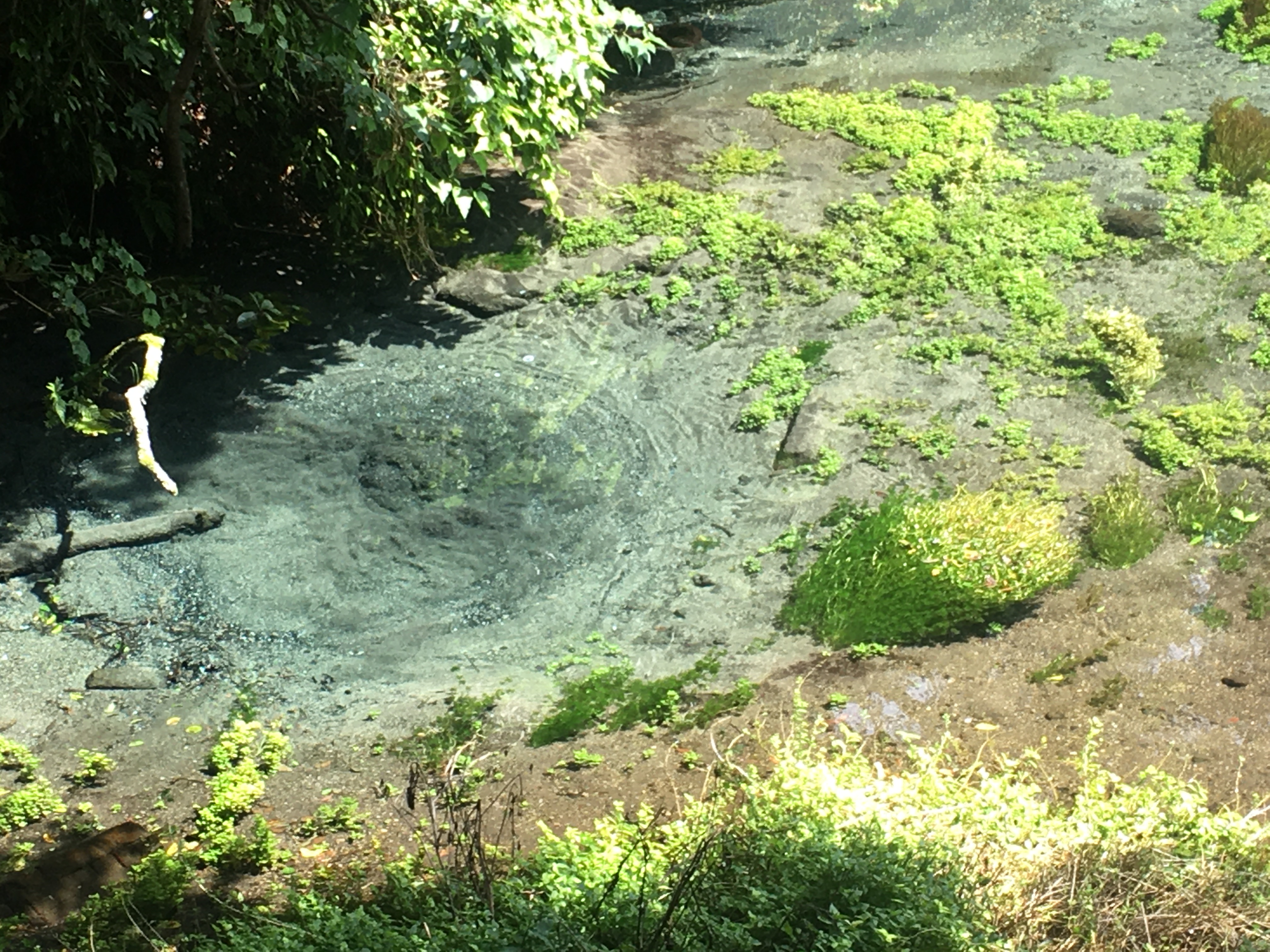 手芸（趣味）に関するWebメディア