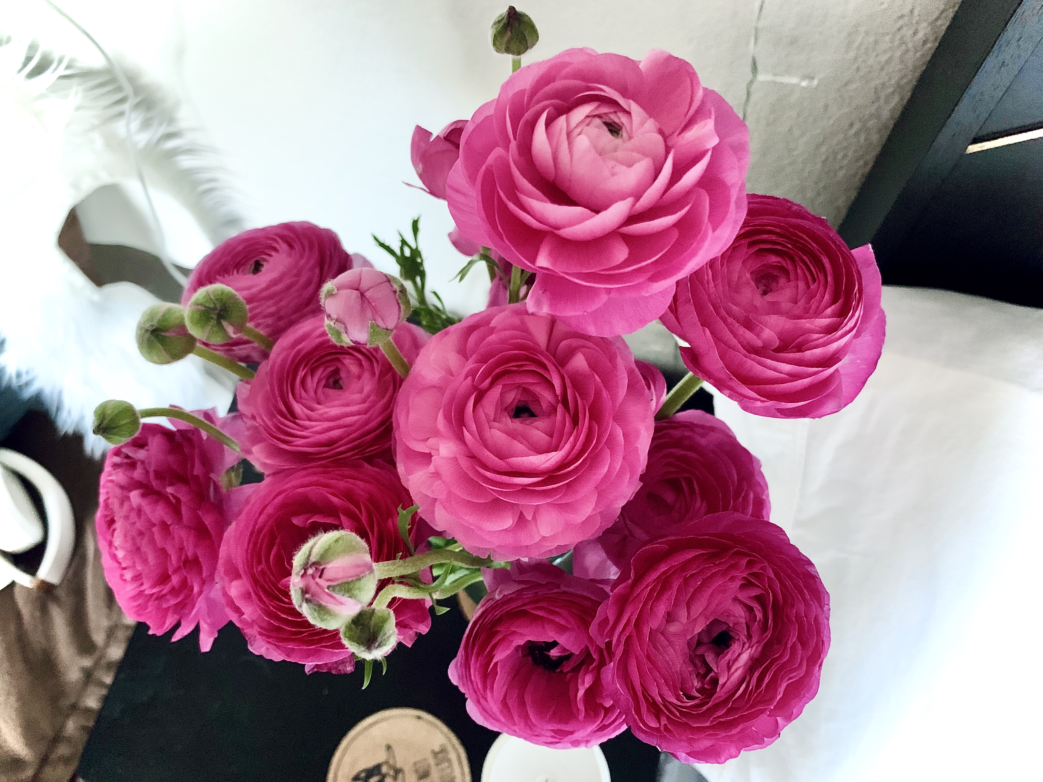 精神障害・障害者（メンタル）に関するWebメディア