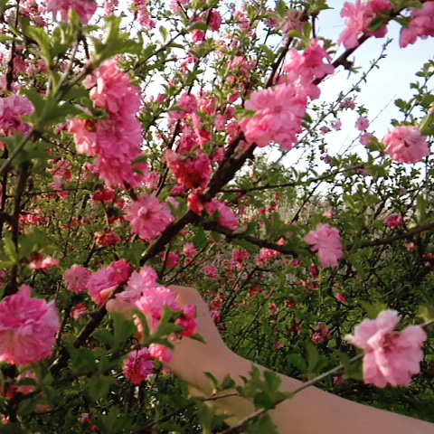 コスメ（美容＆ファッション）に関するWebメディア