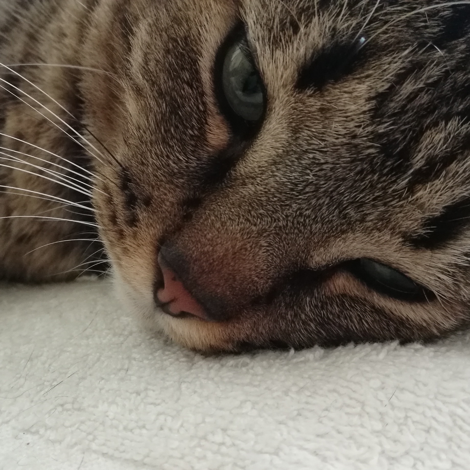 悩めるママたちへ 子育て応援ブログ ニューカレドニアから発信中