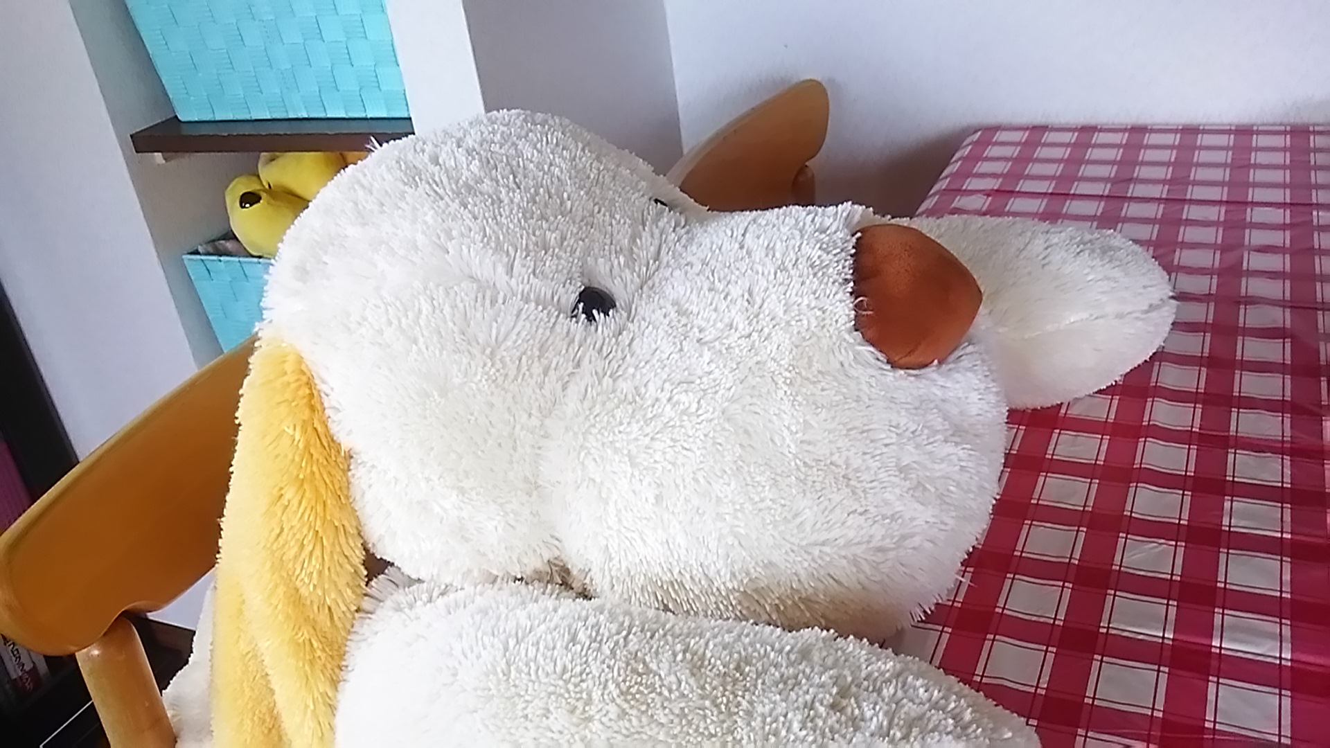 バイク（自動車＆自転車＆バイク）に関するWebメディア