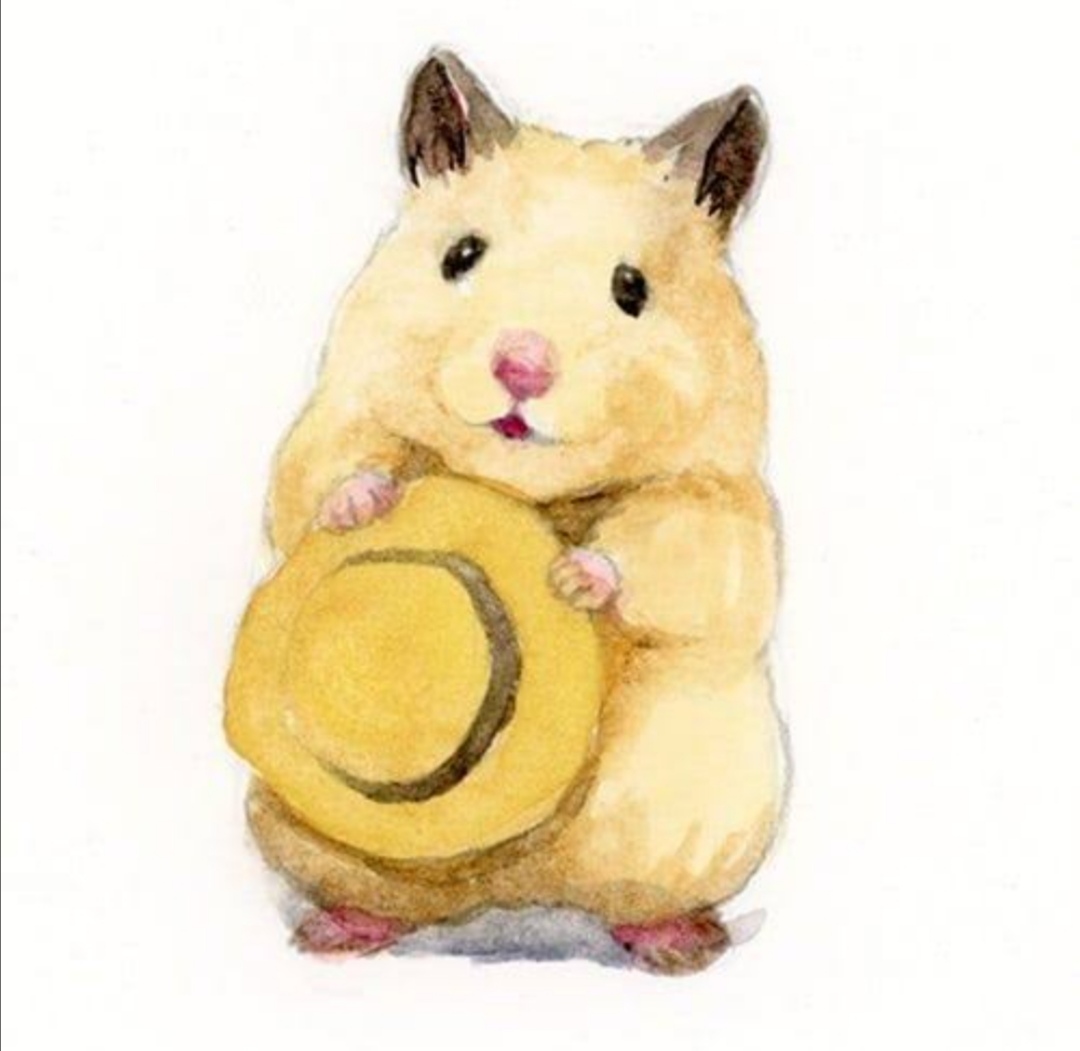 100均 セリアの木製ティッシュボックスでハムスターのハウスを作る方法 ひこりんの人生探索ブログ