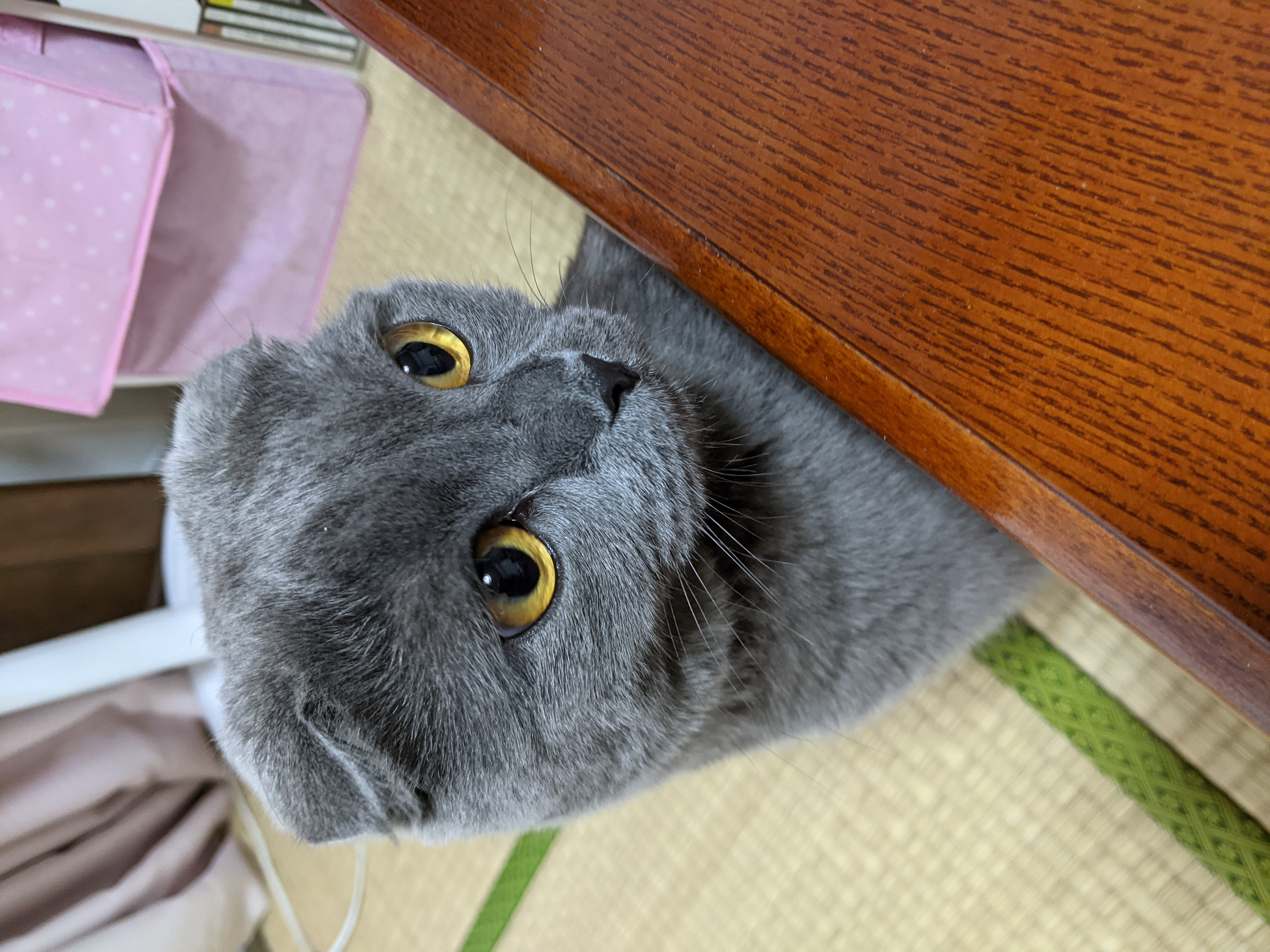 バイク（自動車＆自転車＆バイク）に関するWebメディア