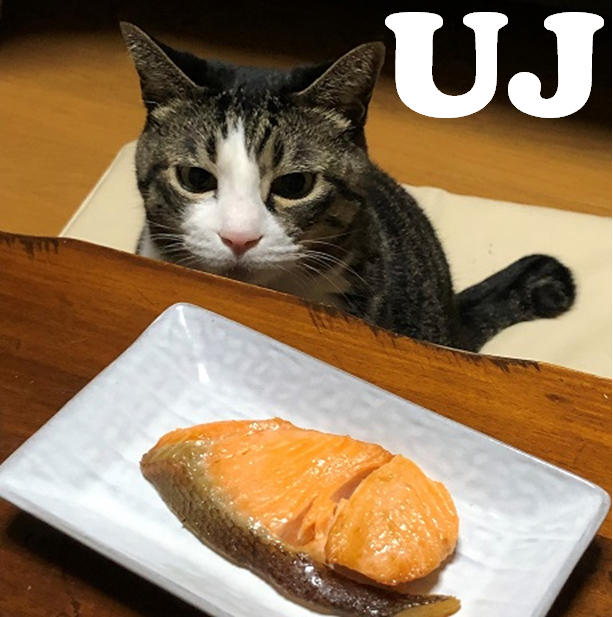 ドライブ（自動車＆自転車＆バイク）に関するWebメディア