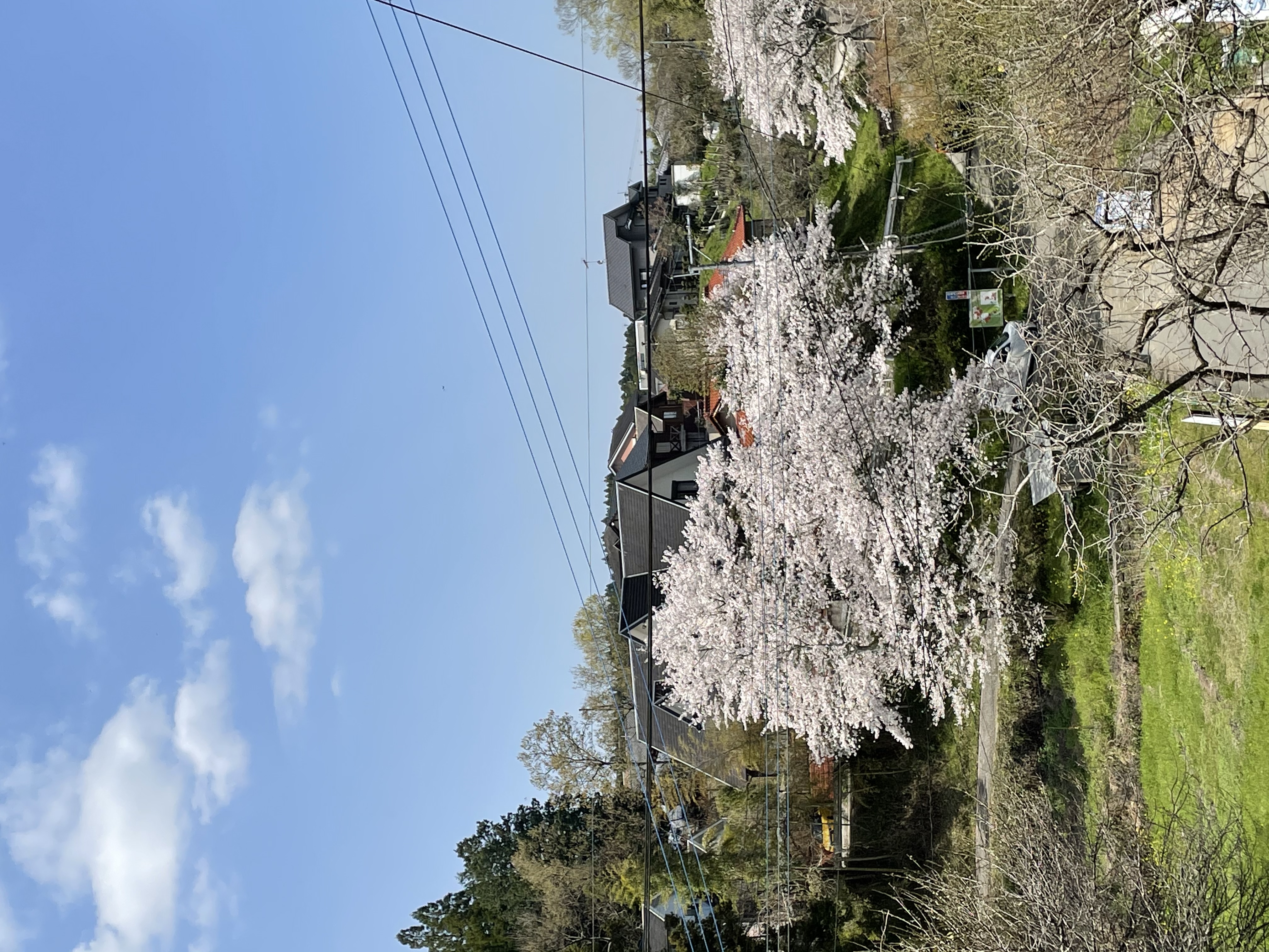 鬱（メンタル）に関するWebメディア