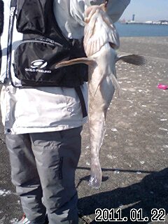 茨城県（旅行＆地域）に関するWebメディア