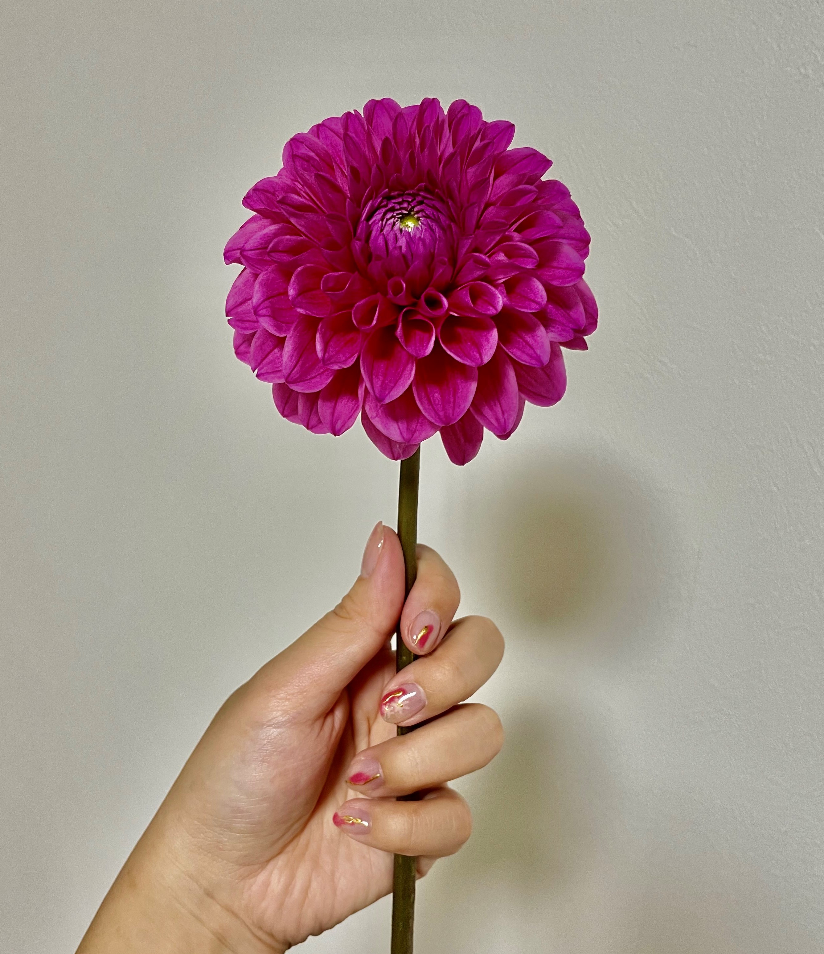 料理（料理）に関するWebメディア