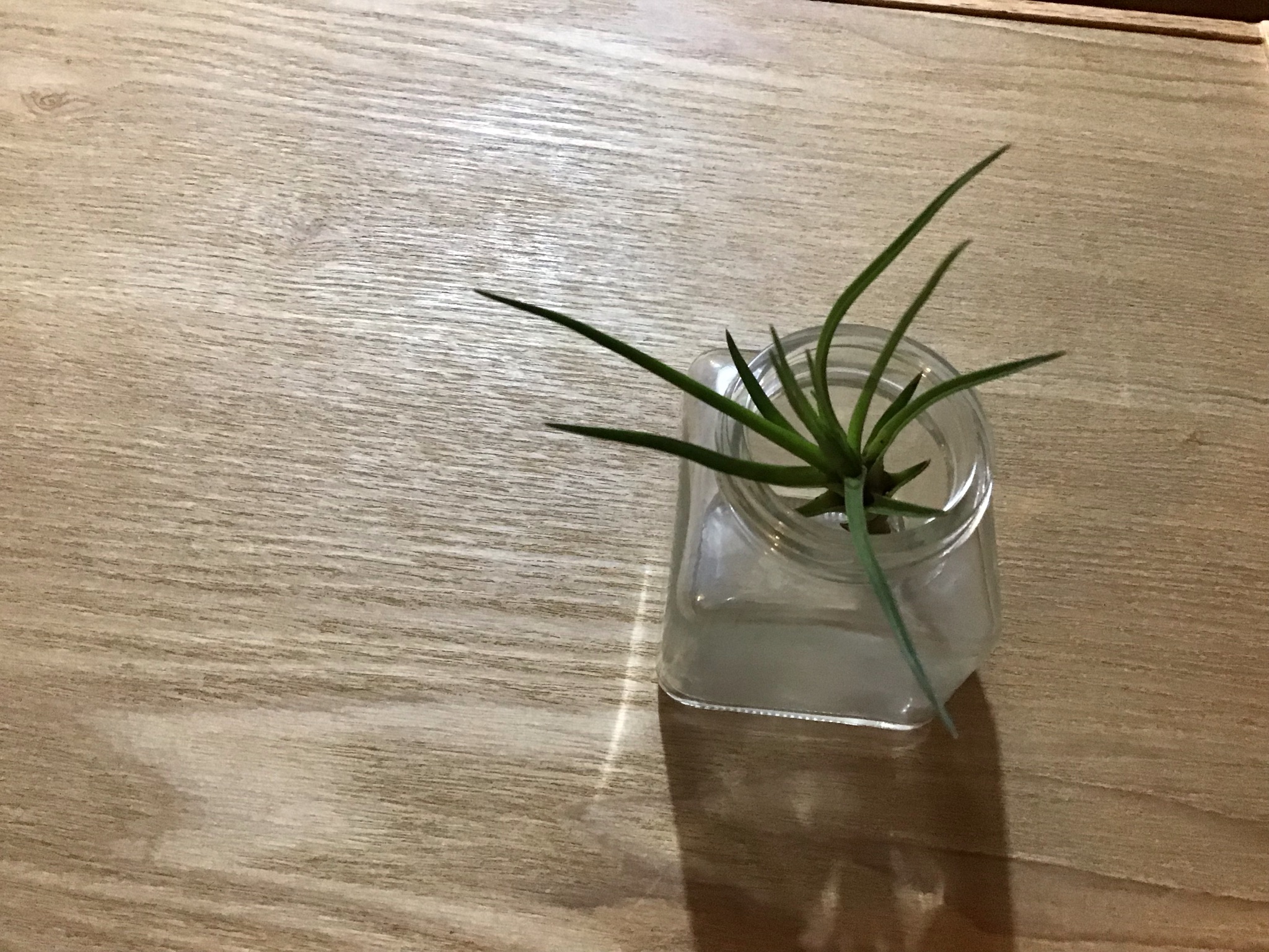 料理レシピ（料理）に関するWebメディア