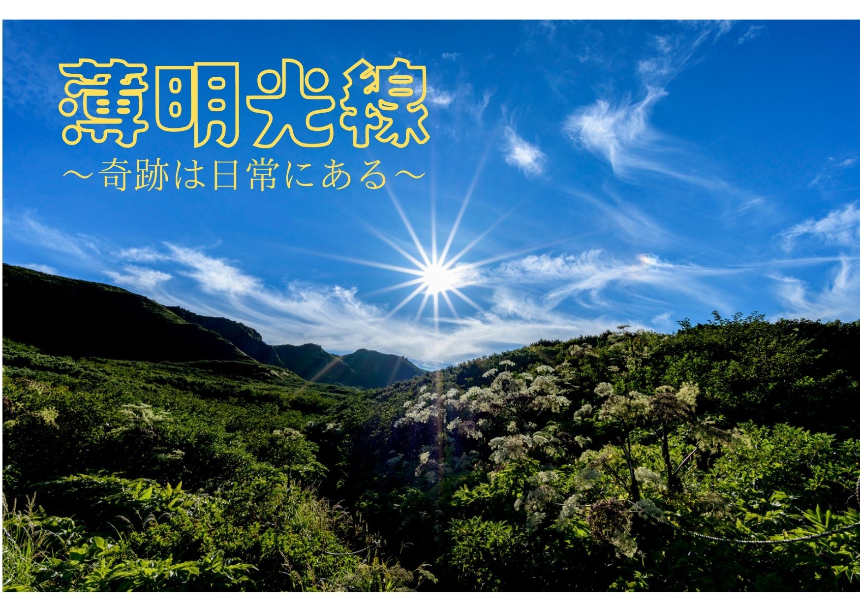 車（自動車＆自転車＆バイク）に関するWebメディア