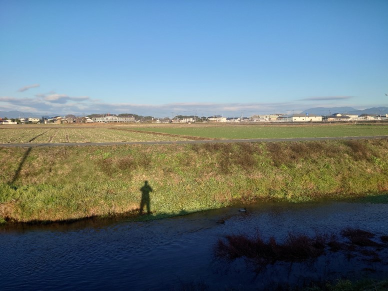 コンサルタント（仕事）に関するWebメディア