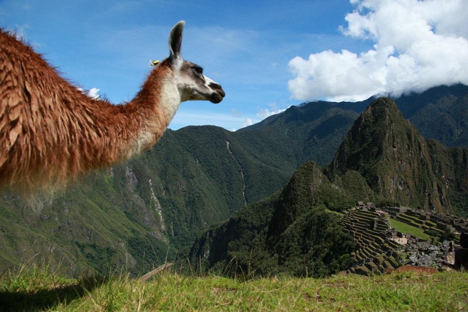 マーケティング（仕事）に関するWebメディア